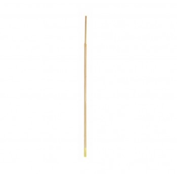 Coletor Swab Uterino para Éguas Provar