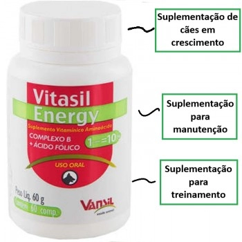 Vitasil Energy Suplemento Vitamínico Aminoácido para Cães 60g - Vansil