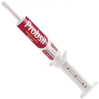 Probsil Suplemento Alimentar 06 Unidades de 14g Vansil