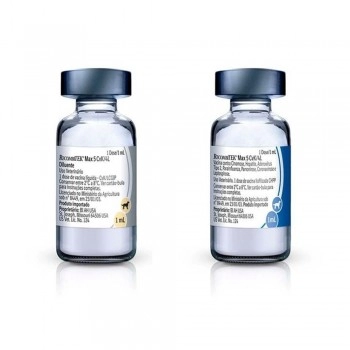 Vacina Recombitek® Max 5 CVK/4L V10 Para Cães Com 25 Doses - Boehringer