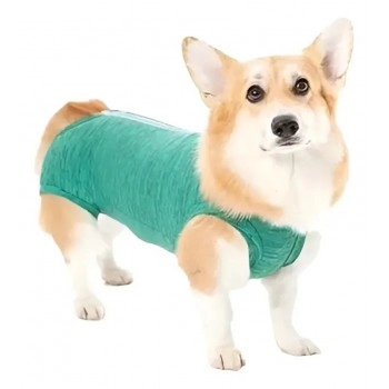 Roupa Protetora de Castração Cachorro N°3 3,5-4,5Kg Verde Duo Dry - Pet Med