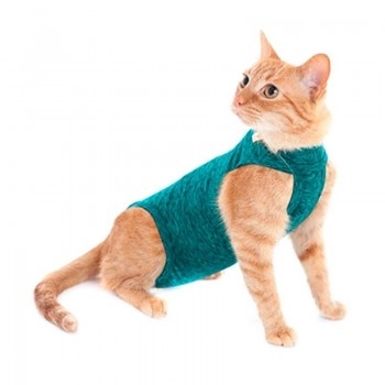 Roupa Protetora de Castração para Gatos Nº 2 (3,0 a 3,8kg) Verde Duo Dry - Pet Med