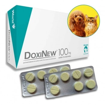 Doxinew 100mg Antibiótico Antimicrobiano Cães e Gatos 14 Comprimidos World