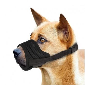 Focinheira para Cachorro Nylon n° 4 RM Colares