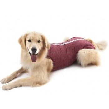 Roupa Protetora para Membros Anteriores e Peito Rosa N°6 - Pet Med