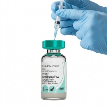 Vacina Purevax FeLV Injetável 0,5mL 25 Doses - Boehringer