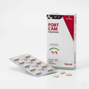 Anti-inflamatório Fort Cam 1,0mg para Cães e Gatos 10 Comprimidos - Vansil