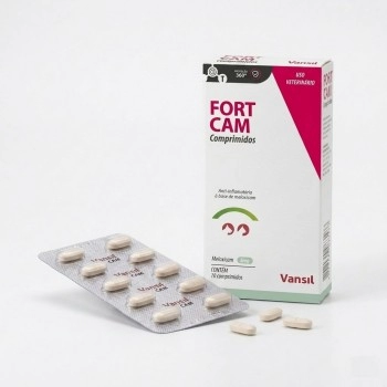 Anti-inflamatório Fort Cam 2,0mg para Cães e Gatos 10 Comprimidos - Vansil