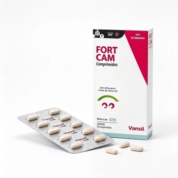 Anti-inflamatório Fort Cam 4,0mg para Cães e Gatos 10 Comprimidos - Vansil