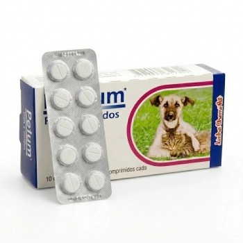 Dexium Anti-inflamatório para Cães e Gatos com 10 Comprimidos