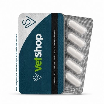 Gabapentina 300mg 10 Cápsulas - Prati Donaduzzi (PORT. 344/98)