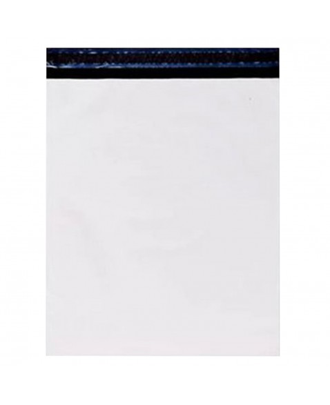 Envelope Plástico para Raio-X 26x32x0,12cm Fuji