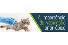 A Importância da Vacinação Antirrábica para Cães e Gatos