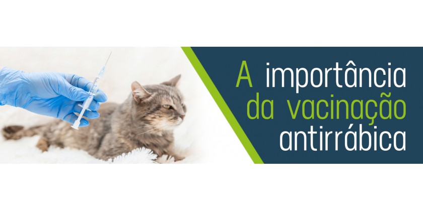 A Importância da Vacinação Antirrábica para Cães e Gatos