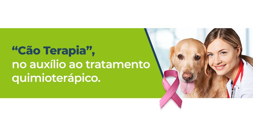 Cão Terapia, no auxílio ao tratamento quimioterápico.