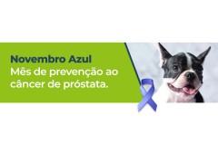 Novembro Azul - Mês de prevenção ao câncer de próstata