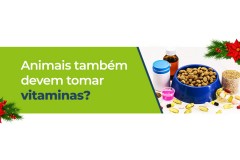 Animais também devem tomar vitaminas?