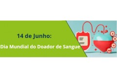 14 de Junho: Dia Mundial do Doador de Sangue