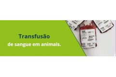 Transfusão de sangue em animais