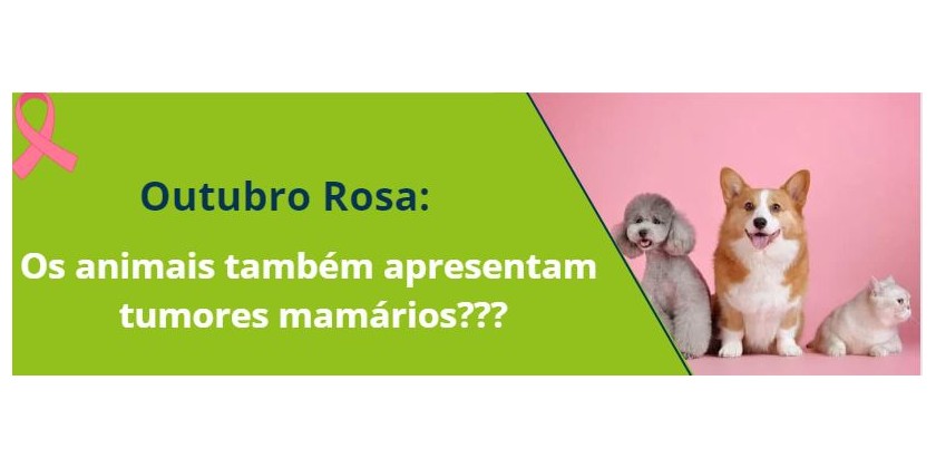 Outubro Rosa: Os animais também apresentam tumores mamários???